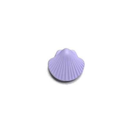 Conchiglia